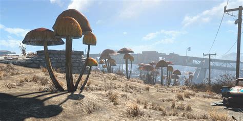 fallout 4 environment mod|fallout 4 desert mod list.